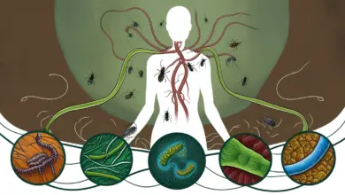 Parasites and Hyperthyroidism