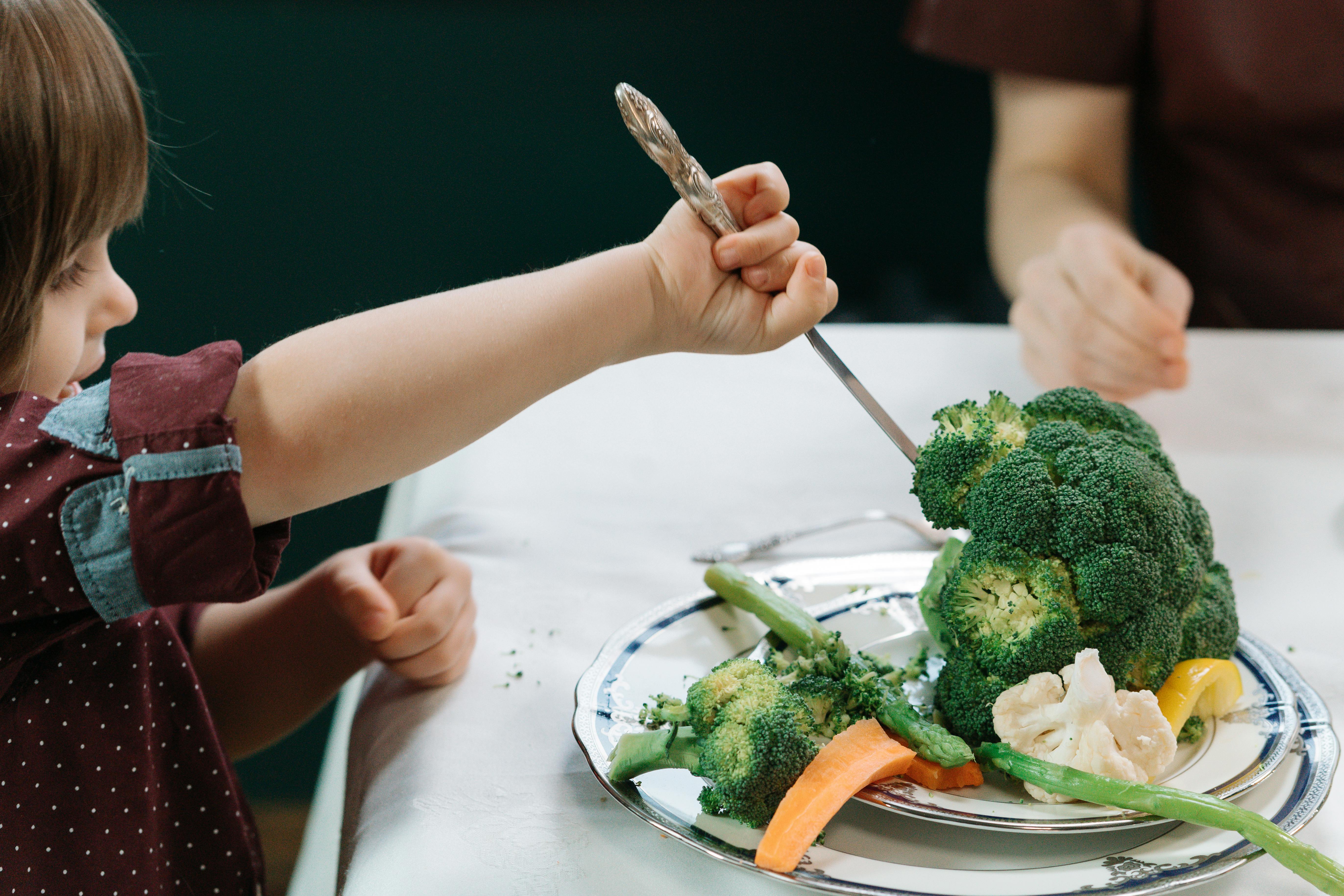 Well-Balanced and Planned Mealtimes